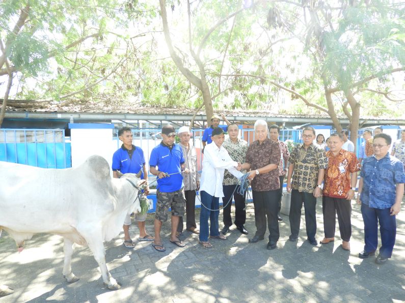 Bank SulutGo Berqurban Idul Adha 1439H