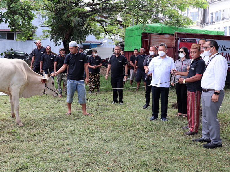 Momen Idul Adha Bank SulutGo serahkan 62 ekor sapi untuk dibagikan di Sulawesi Utara dan Gorontalo