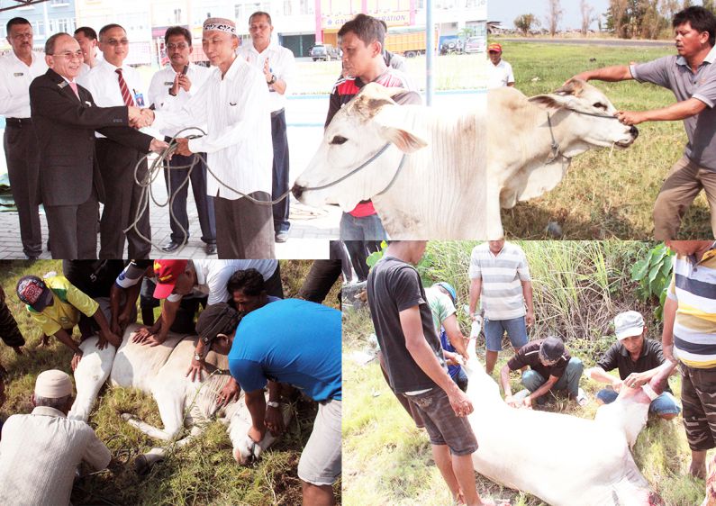 Penyerahan Kurban oleh Bank Sulut