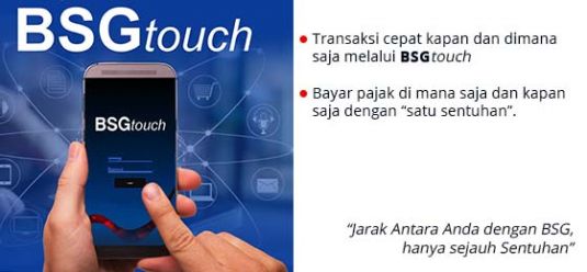 BSGTouch