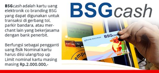 BSGCash